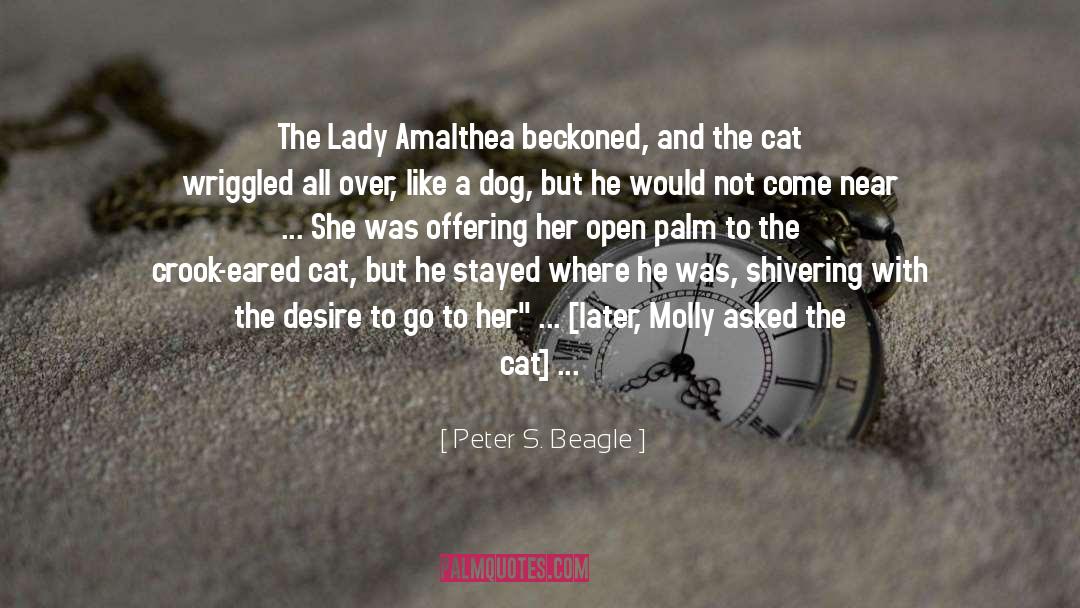 Peter S. Beagle Quotes: The Lady Amalthea beckoned, and