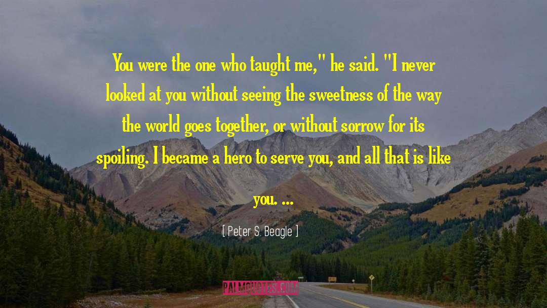 Peter S. Beagle Quotes: You were the one who