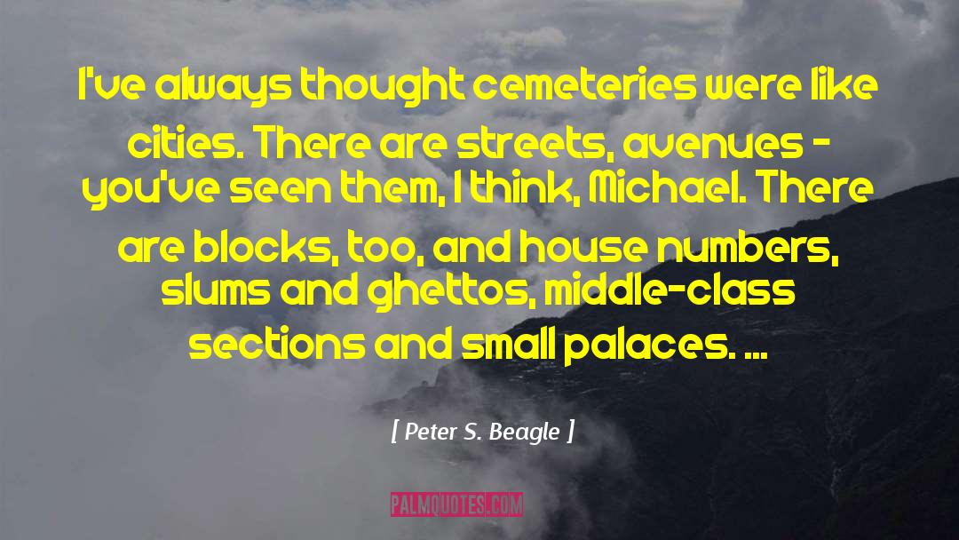 Peter S. Beagle Quotes: I've always thought cemeteries were