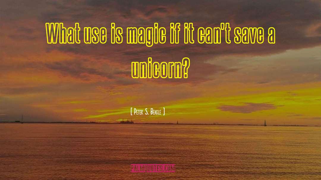 Peter S. Beagle Quotes: What use is magic if