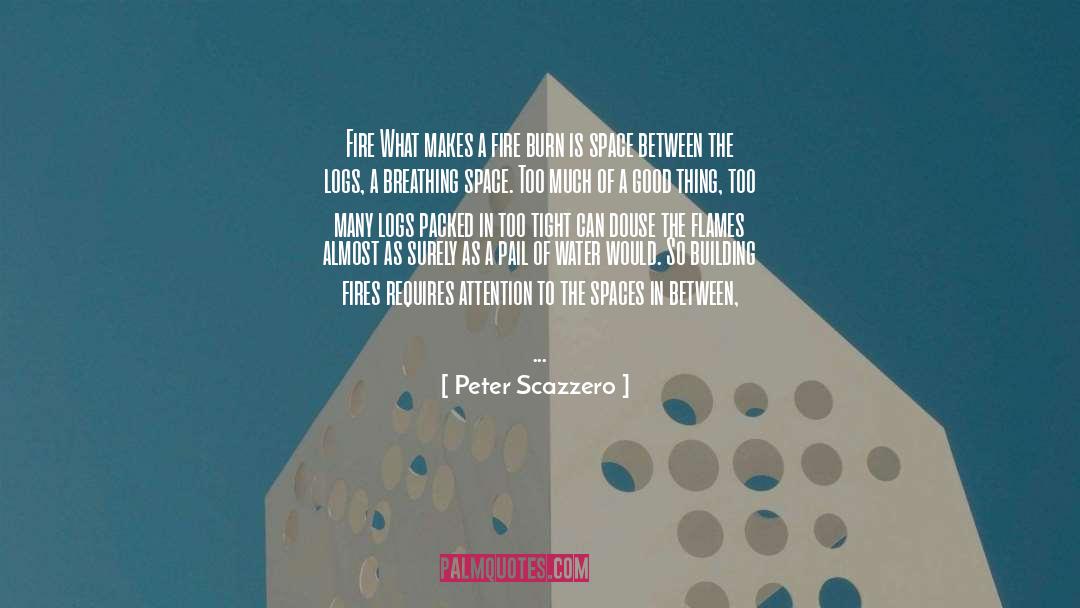 Peter Scazzero Quotes: Fire What makes a fire