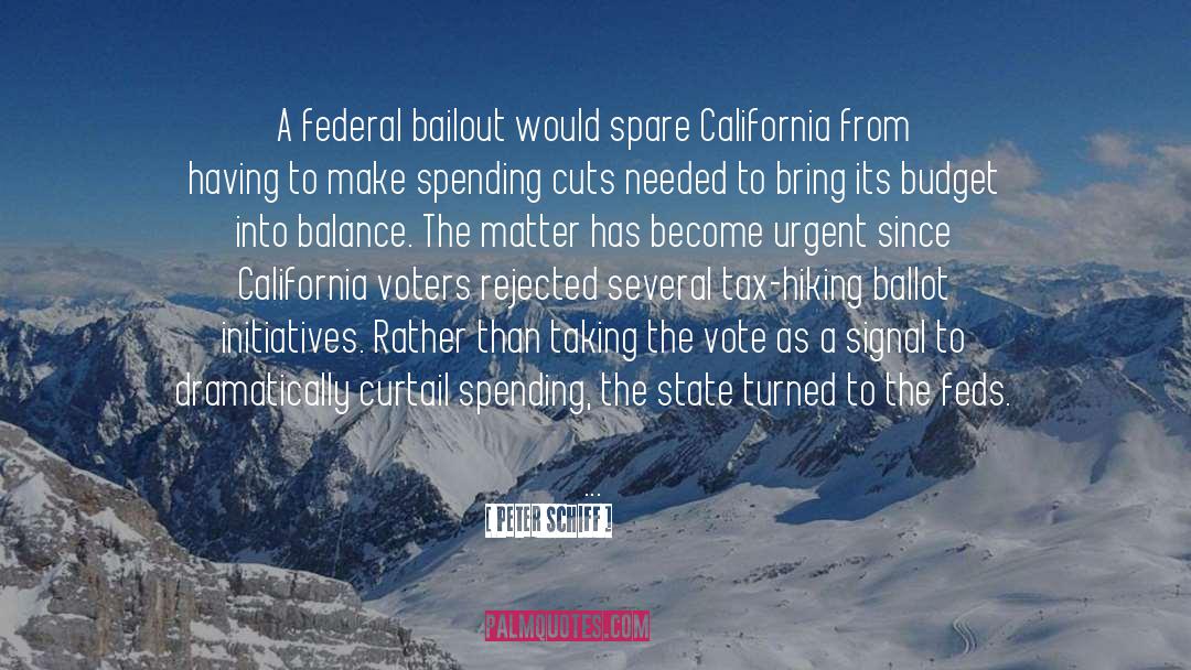 Peter Schiff Quotes: A federal bailout would spare