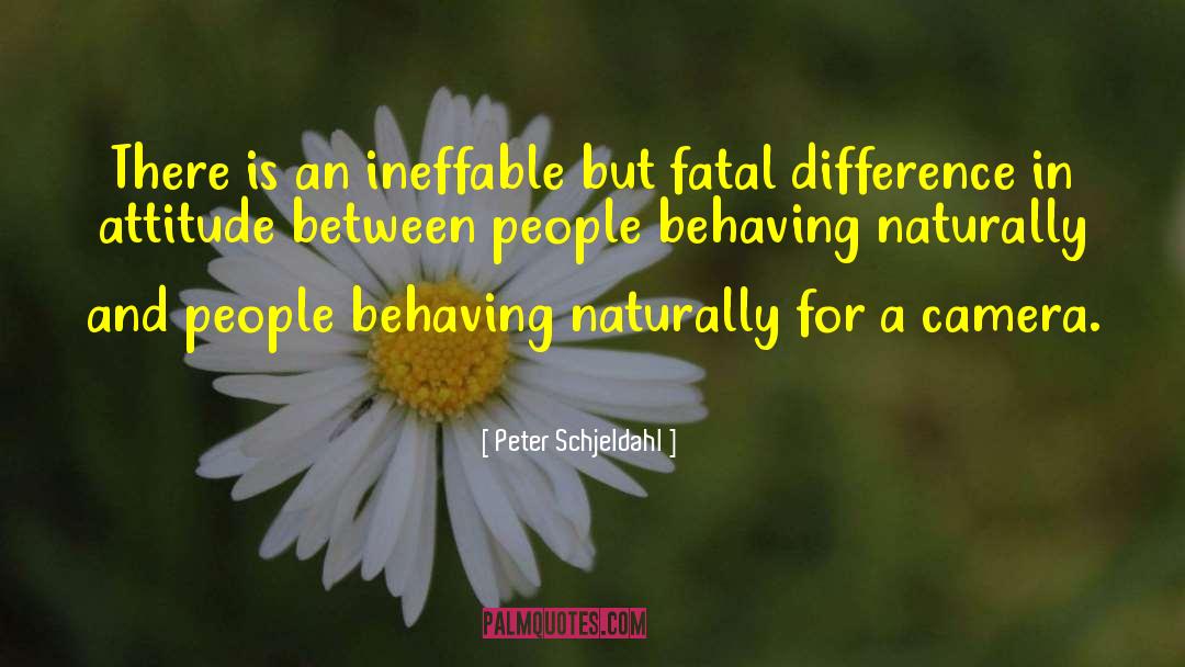 Peter Schjeldahl Quotes: There is an ineffable but