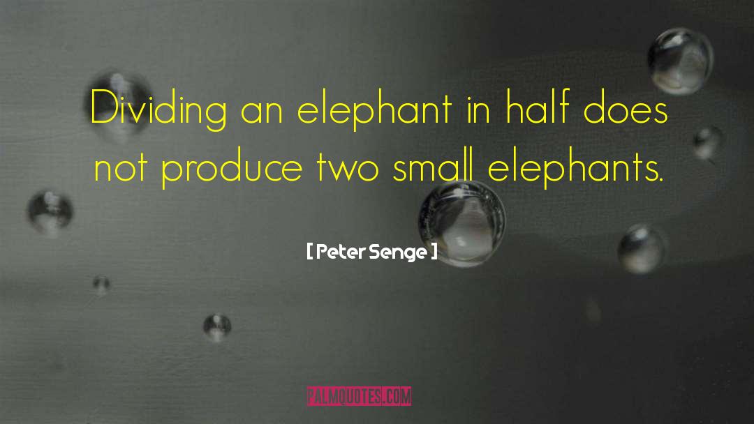 Peter Senge Quotes: Dividing an elephant in half