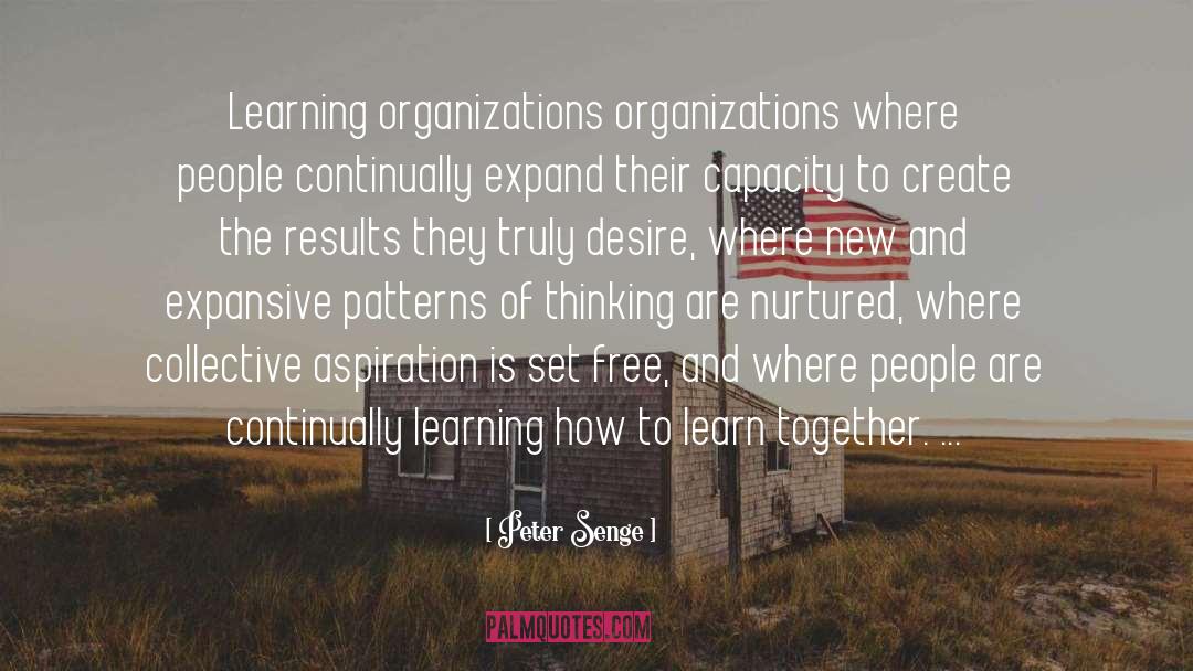 Peter Senge Quotes: Learning organizations organizations where people
