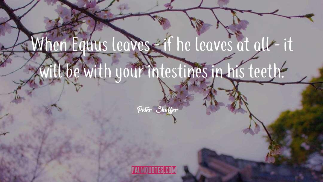 Peter Shaffer Quotes: When Equus leaves - if