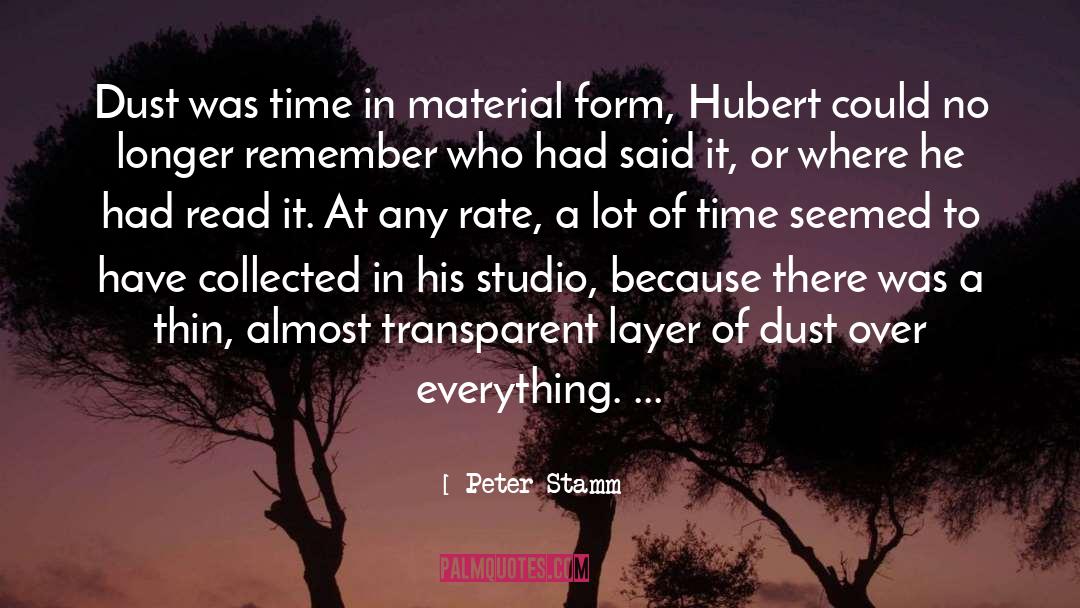 Peter Stamm Quotes: Dust was time in material