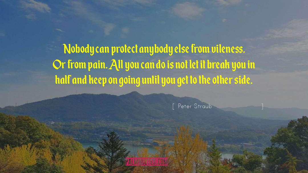 Peter Straub Quotes: Nobody can protect anybody else