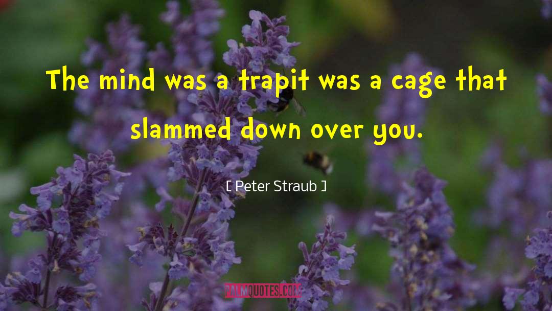 Peter Straub Quotes: The mind was a trap<br>it