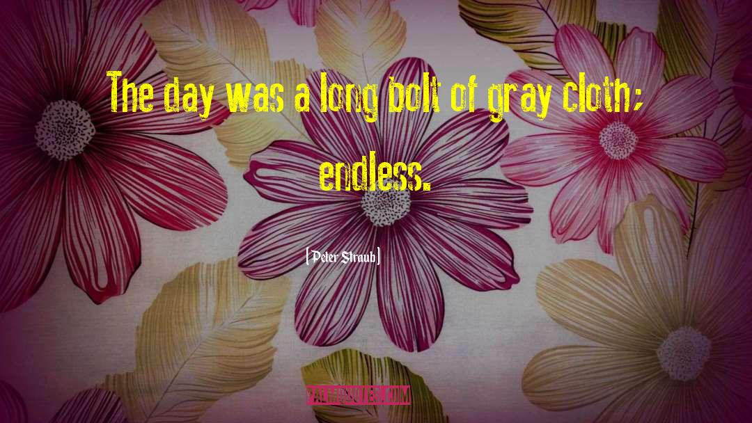 Peter Straub Quotes: The day was a long