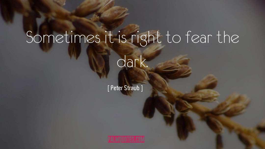 Peter Straub Quotes: Sometimes it is right to