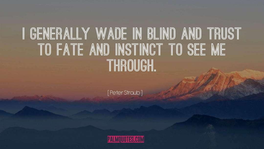Peter Straub Quotes: I generally wade in blind