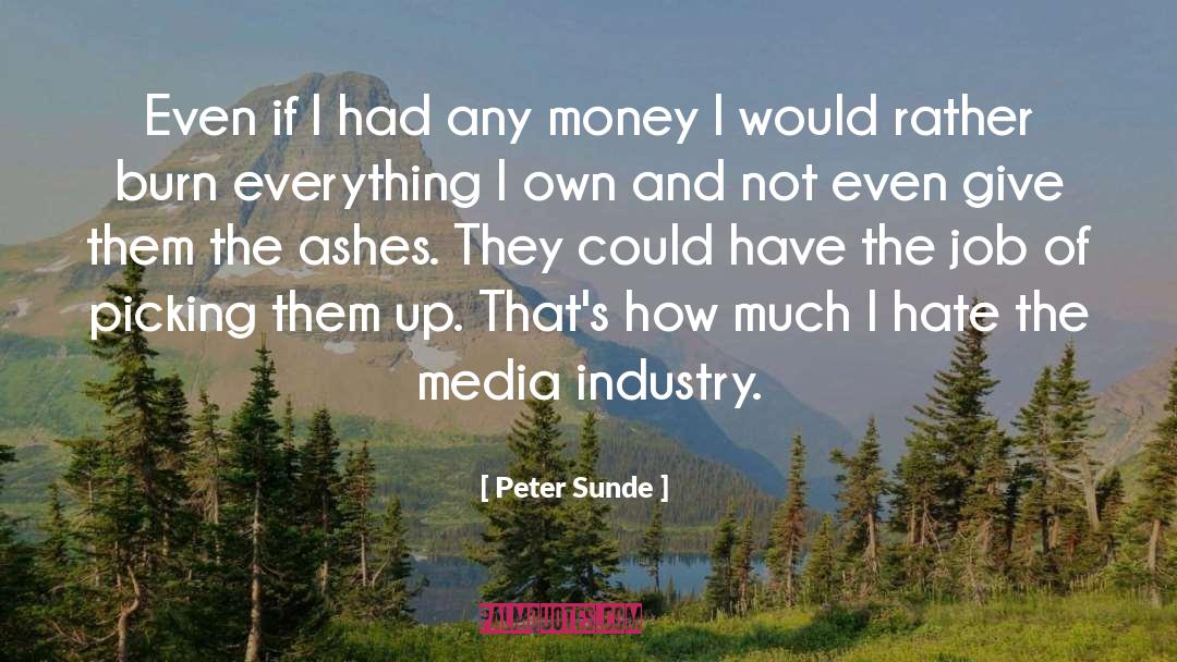 Peter Sunde Quotes: Even if I had any