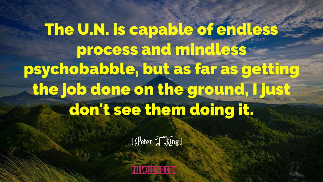 Peter T. King Quotes: The U.N. is capable of