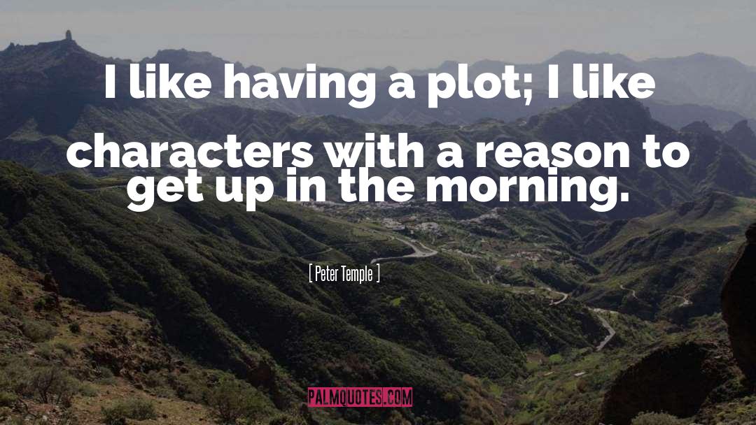 Peter Temple Quotes: I like having a plot;