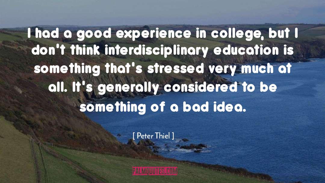 Peter Thiel Quotes: I had a good experience