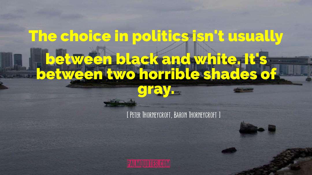 Peter Thorneycroft, Baron Thorneycroft Quotes: The choice in politics isn't