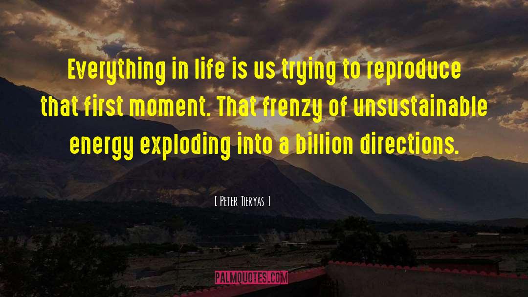 Peter Tieryas Quotes: Everything in life is us