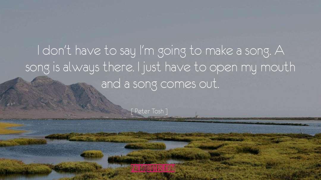 Peter Tosh Quotes: I don't have to say