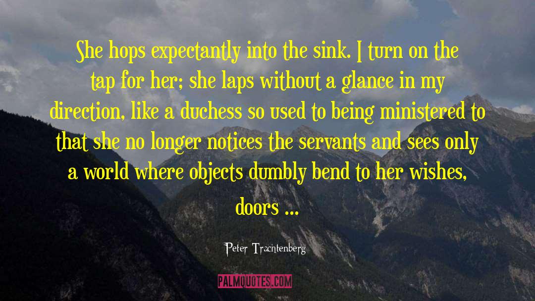 Peter Trachtenberg Quotes: She hops expectantly into the