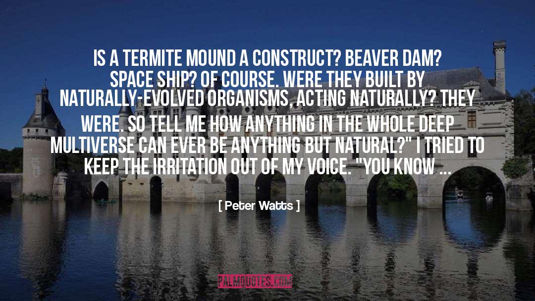 Peter Watts Quotes: Is a termite mound a