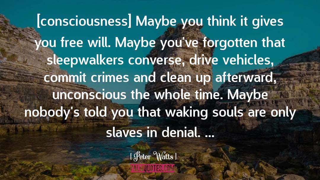 Peter Watts Quotes: [consciousness] Maybe you think it