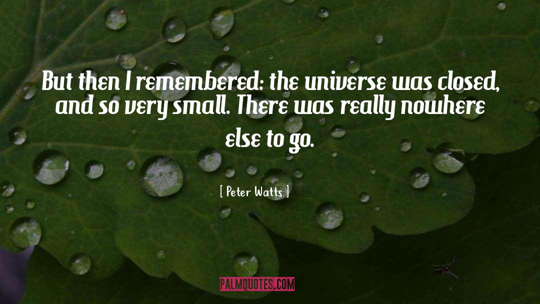 Peter Watts Quotes: But then I remembered: the