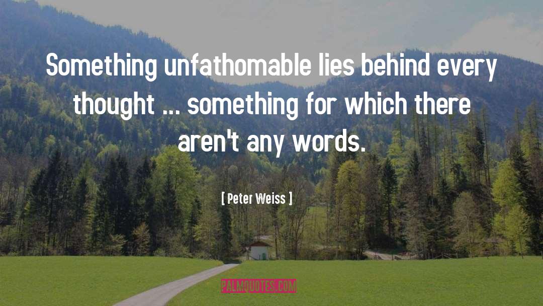 Peter Weiss Quotes: Something unfathomable lies behind every