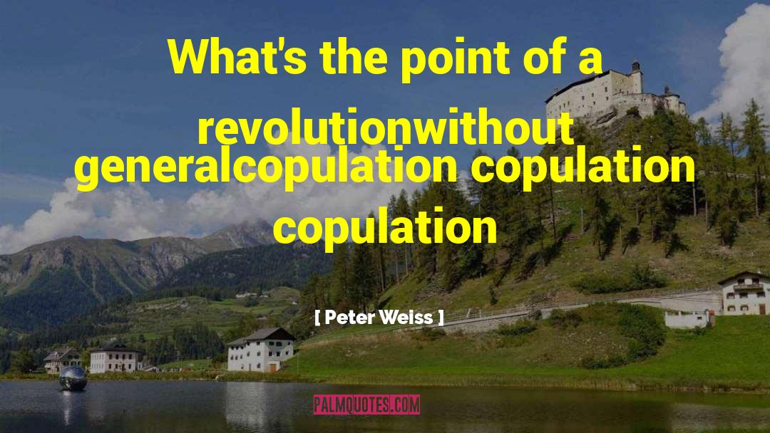 Peter Weiss Quotes: What's the point of a