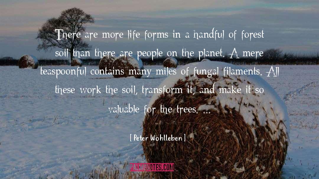 Peter Wohlleben Quotes: There are more life forms