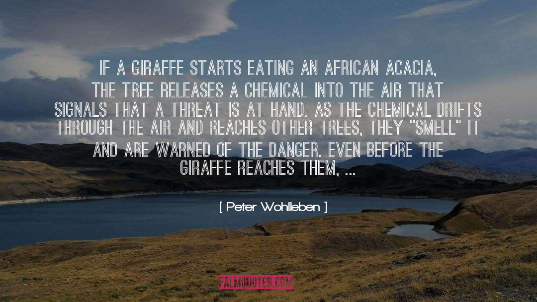 Peter Wohlleben Quotes: If a giraffe starts eating