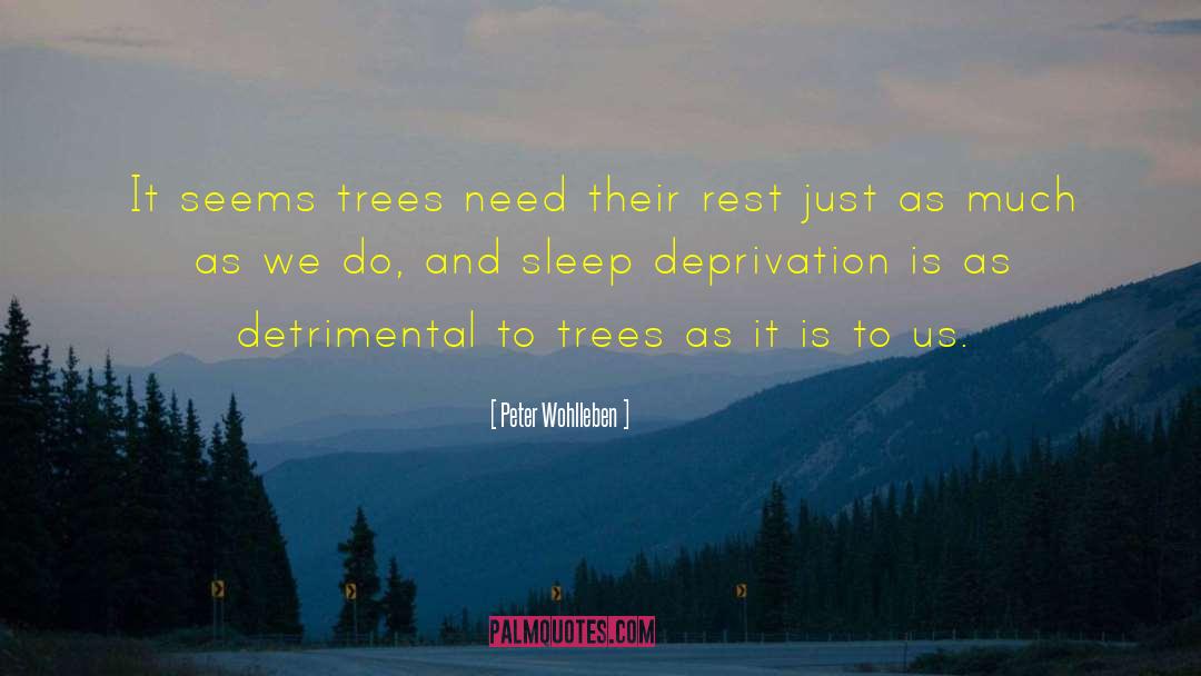 Peter Wohlleben Quotes: It seems trees need their