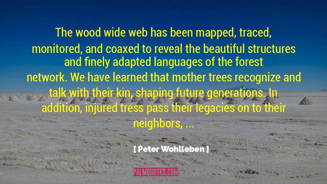 Peter Wohlleben Quotes: The wood wide web has