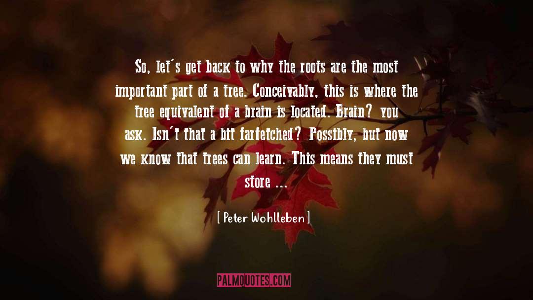 Peter Wohlleben Quotes: So, let's get back to