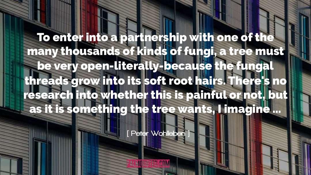 Peter Wohlleben Quotes: To enter into a partnership