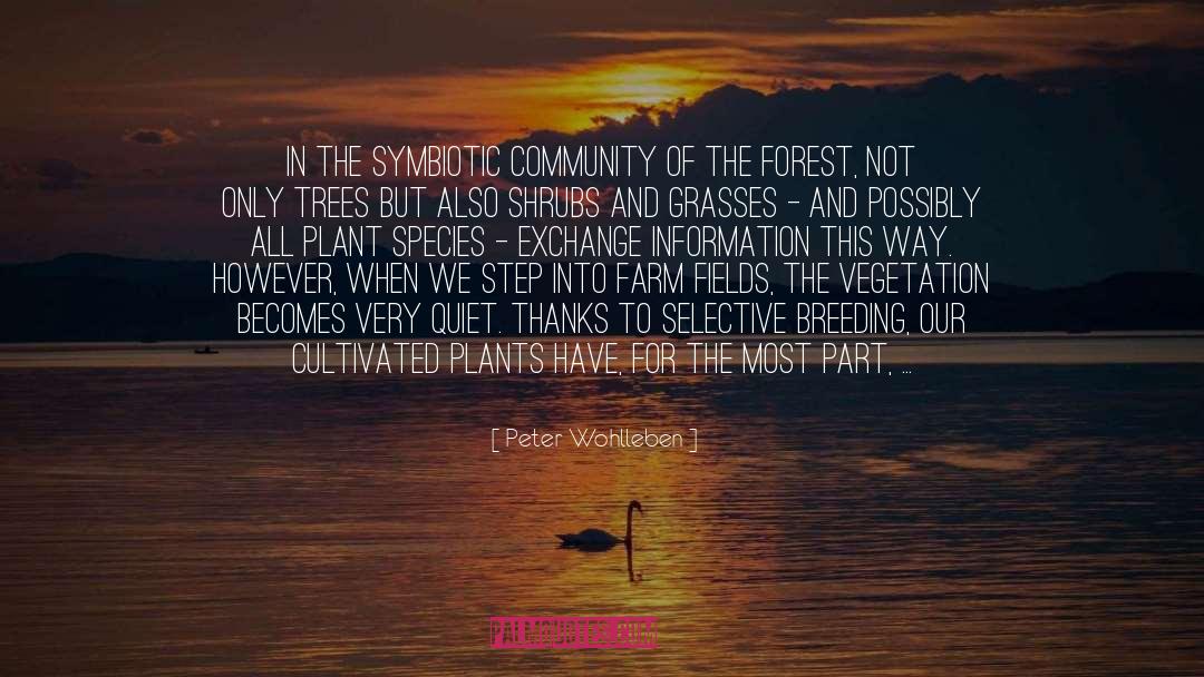 Peter Wohlleben Quotes: In the symbiotic community of