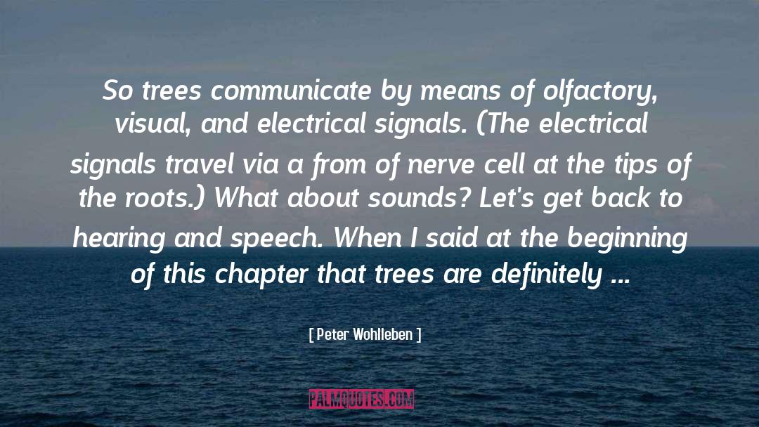 Peter Wohlleben Quotes: So trees communicate by means