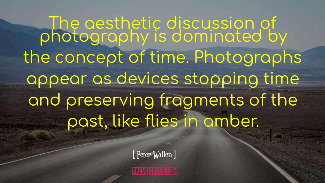 Peter Wollen Quotes: The aesthetic discussion of photography