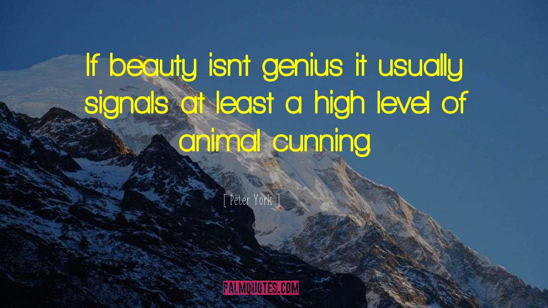 Peter York Quotes: If beauty isn't genius it