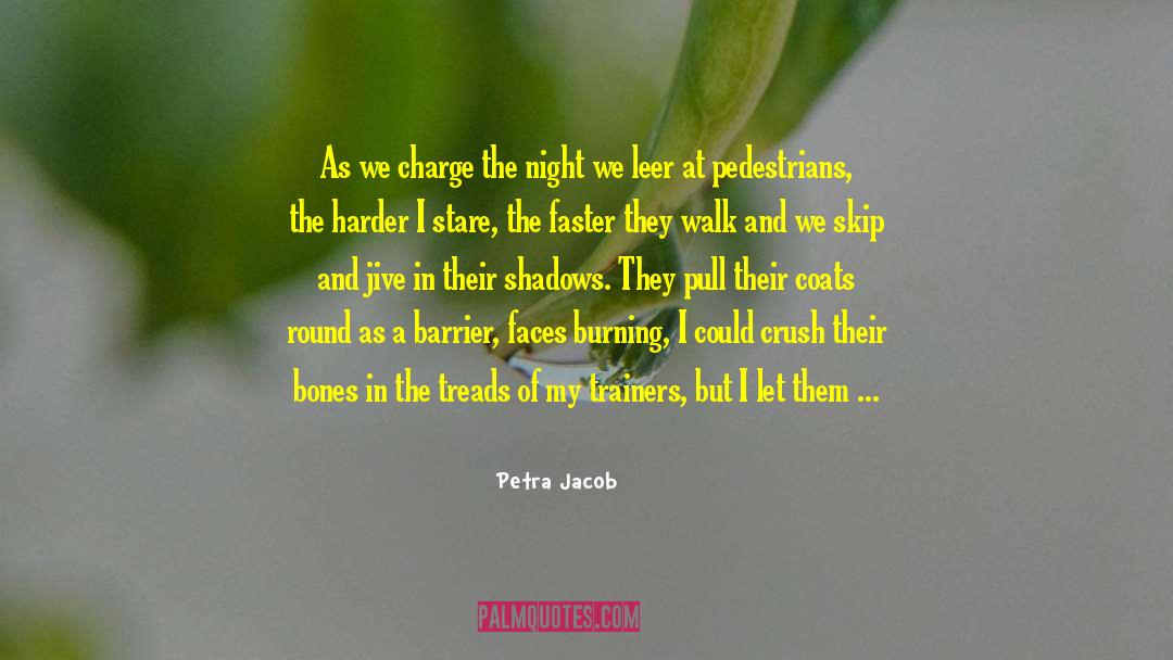 Petra Jacob Quotes: As we charge the night