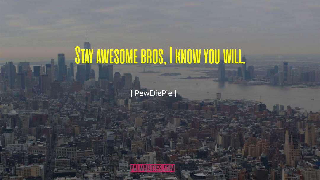 PewDiePie Quotes: Stay awesome bros, I know