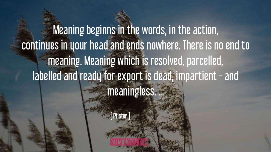 Pfister Quotes: Meaning beginns in the words,
