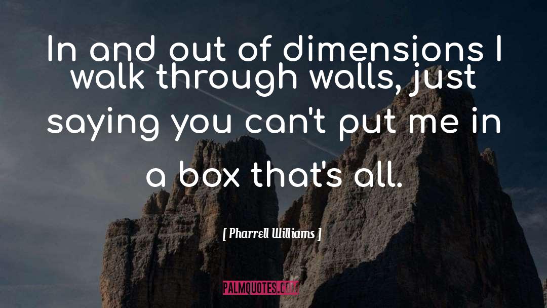 Pharrell Williams Quotes: In and out of dimensions