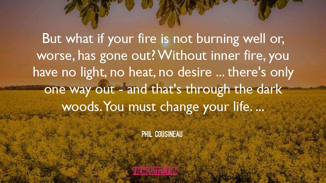 Phil Cousineau Quotes: But what if your fire