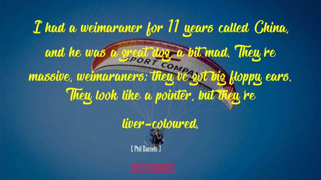 Phil Daniels Quotes: I had a weimaraner for