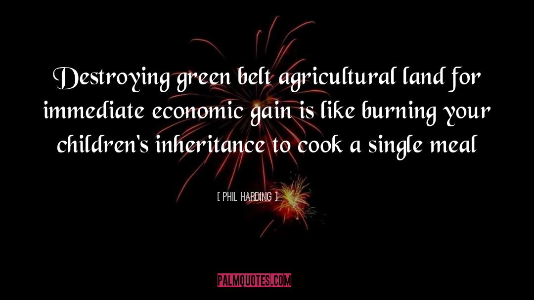 Phil Harding Quotes: Destroying green belt agricultural land