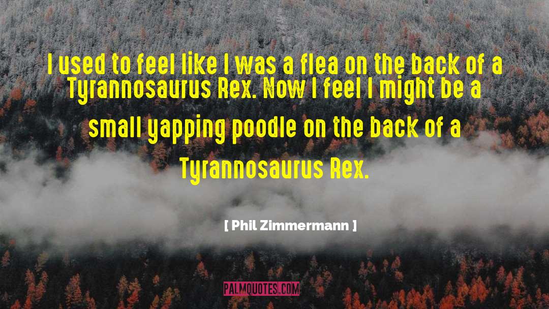Phil Zimmermann Quotes: I used to feel like