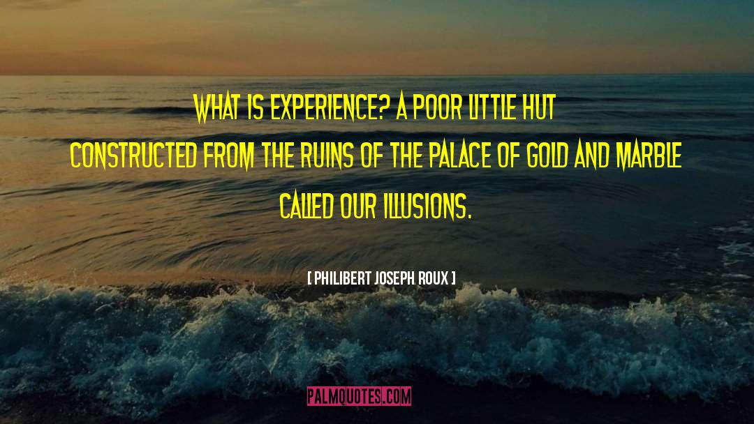 Philibert Joseph Roux Quotes: What is experience? A poor