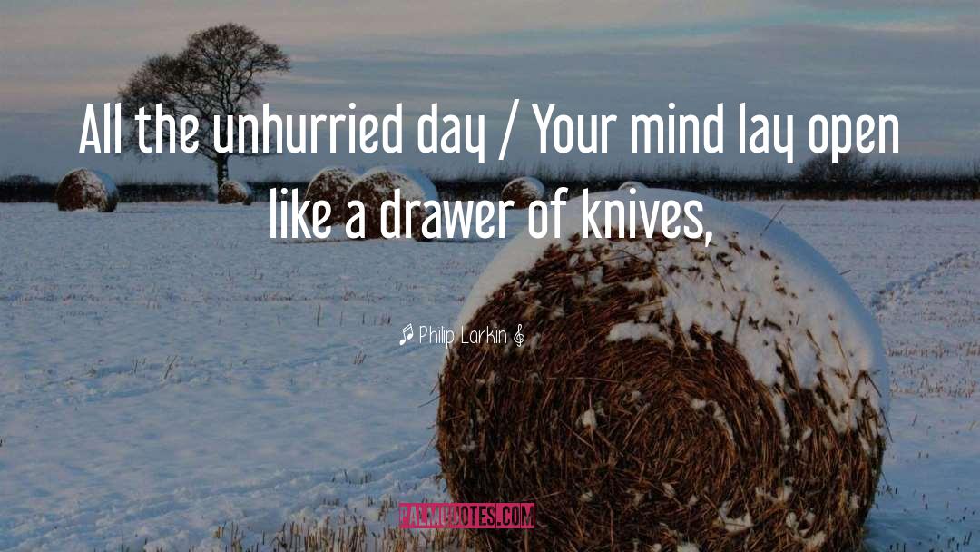Philip Larkin Quotes: All the unhurried day /
