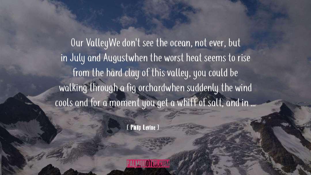 Philip Levine Quotes: Our Valley<br /><br />We don't
